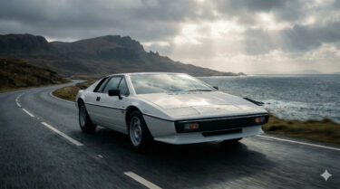 ロータスイメージ画像